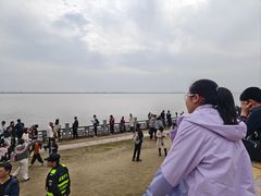 -观潮胜地公园