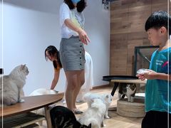 -瞄一喵猫咖(格力海岸店)
