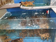 水产区-骏莱海鲜鱼港(五角场店)