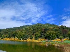 -广州市石门国家森林公园