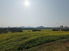 -光明小镇欢乐田园