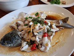 -顺德了能馆(虎门店)