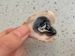 -洪记白水羊头(天坛店)