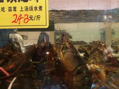 -双井轩(双井店)