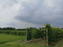 -圣露庄园·草坪婚礼·宴会厅·会议