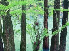 -兰亭风景区