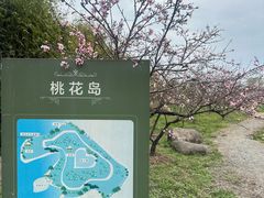 -白塔湖国家湿地公园