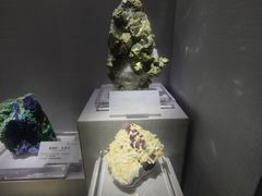 -湖南省地质博物馆