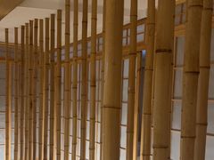 -老成都·古法采耳·禅洗头疗(四川总店)