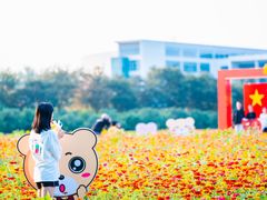 -南京信息职业技术学院