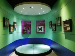 -上海昆虫博物馆