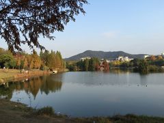 -浙江农林大学(东湖校区)