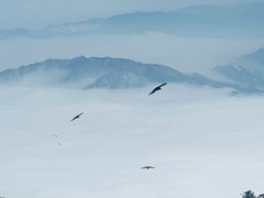 -牛背山