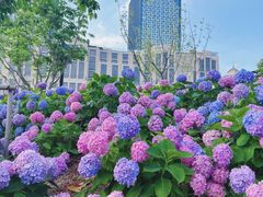 -北外滩滨江绿地