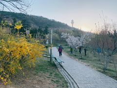 -大连植物园