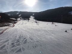 -中旅松花湖滑雪场