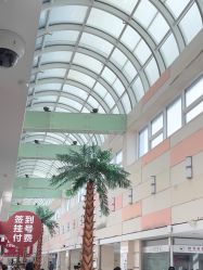 -复旦大学附属妇产科医院(杨浦院区)