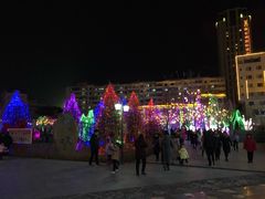 -雁滩公园