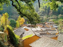 -杨家堂村