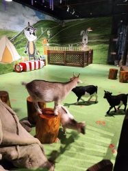 点击看大图 -酷嗒动物文化乐园(cutezoo西溪乐天城店)