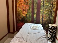 -颐而康按摩(八一桥总店)