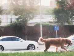 -Bracket Coffee(银河SOHO店)