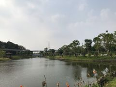 -王借岗森林公园
