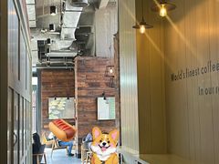 -星巴克(成都天府水街店)