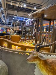 点击看大图 -鲁比猴非洲探索部落(喜盈门店)