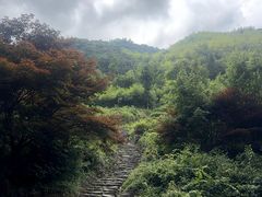 -四明山国家森林公园