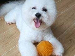 -艾贝尔宠物医院·24H转诊中心·肿瘤猫专科(江宁双龙店)