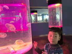 -苏州海洋馆