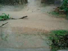 android_upload_pic-如家酒店(上海南京路人民广场店)