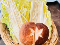 -同仁四季椰子鸡(罗湖国贸店)
