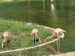 -杭州野生动物世界