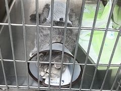-贝康宠物医院·犬猫全科·小动物特色诊疗中心(东环路店)