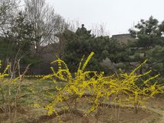 -宛平城