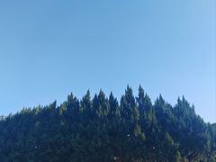 -西湖公园(鼓楼区)