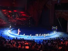 -珠海横琴长隆《卡卡虎奇遇记》