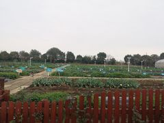 -上膳源有机农场