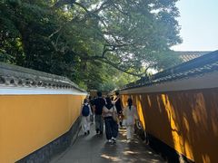-普陀山风景区-佛顶山