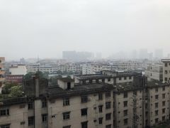 -专业猪脚粉