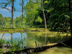-桤木河湿地公园