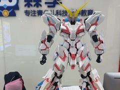 -森孚机器人编程·STEM积木·等级考试(虹口足球场中心)