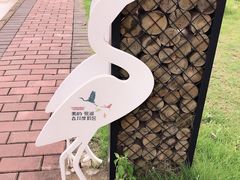 -美的鹭湖森林度假区