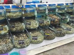 -烁佳海鲜大馅饺子