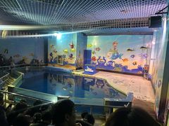 -太平洋海底世界