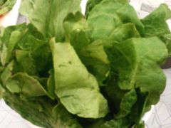 渝利火锅&nbsp;の&nbsp;生菜-渝利重庆火锅