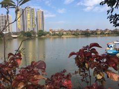-美的鹭湖森林度假区