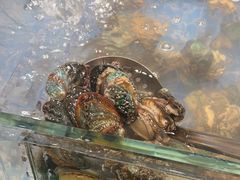 -亚马逊海鲜自助(梅溪湖步步高店)